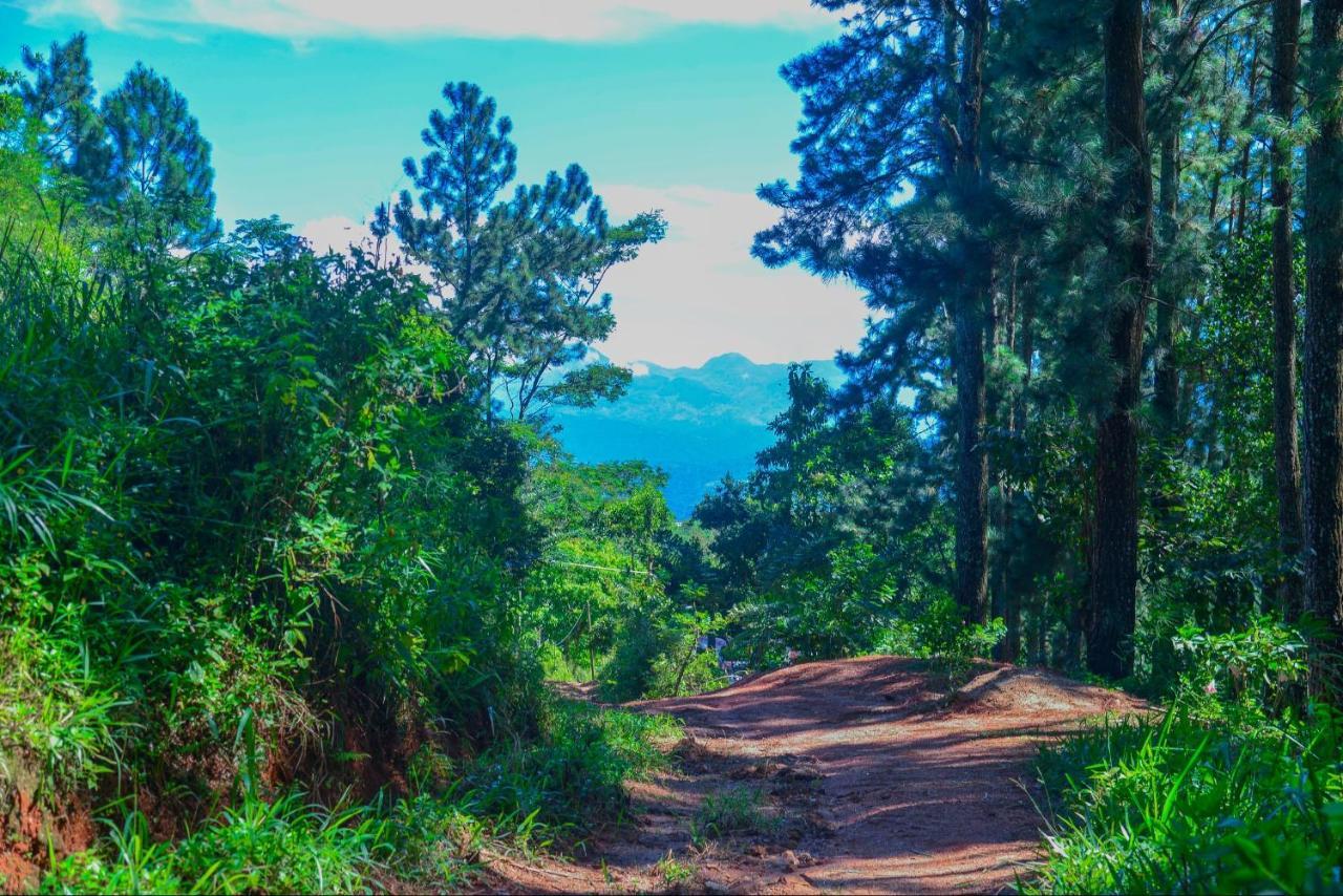 Lak Sewana Home Stay Kandy Zewnętrze zdjęcie