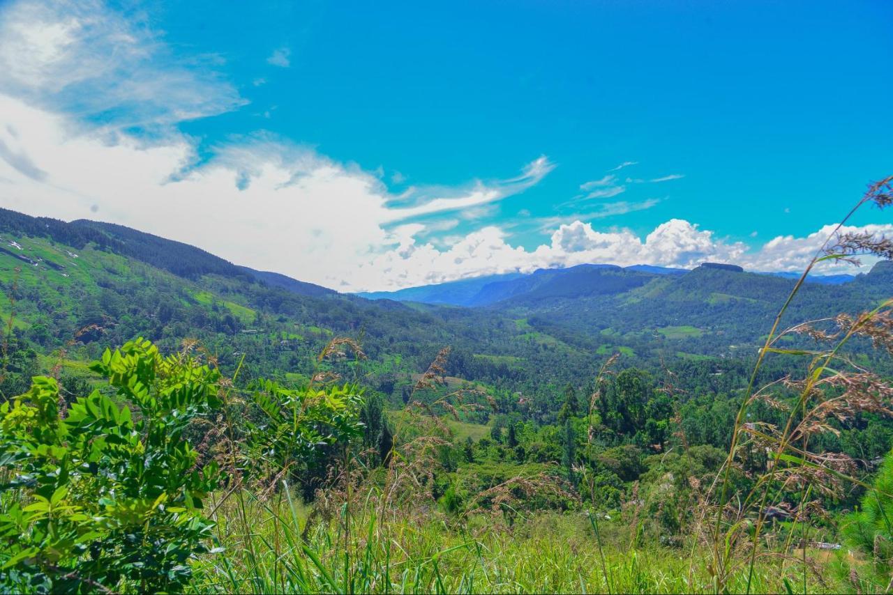 Lak Sewana Home Stay Kandy Zewnętrze zdjęcie