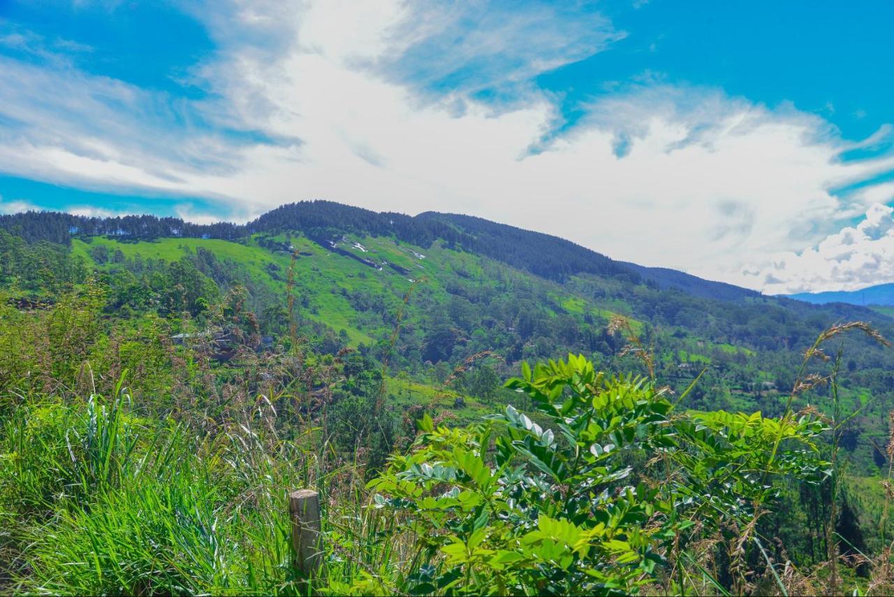 Lak Sewana Home Stay Kandy Zewnętrze zdjęcie