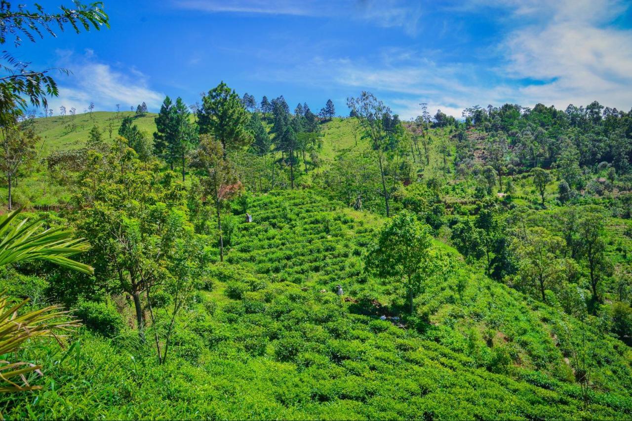 Lak Sewana Home Stay Kandy Zewnętrze zdjęcie